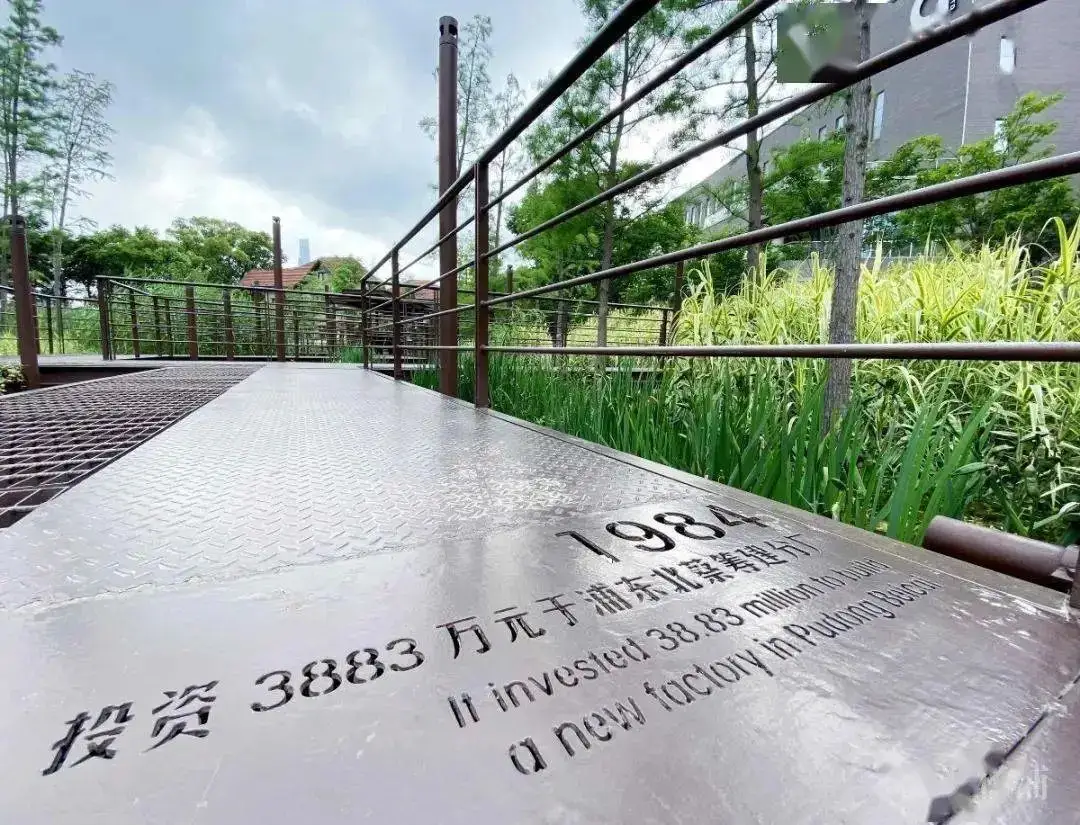 5.5公里楊浦濱江岸線，楊樹浦路變身“露天博物館”